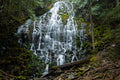 Ramona Falls — Fine Art Photography Print