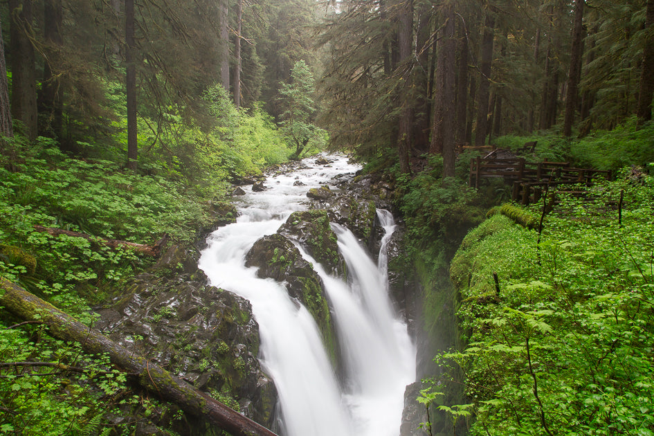 Sol Duc Falls — Fine Art Photography Print